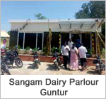 uPVC Window - Sangam Dairy Parlour - Guntur