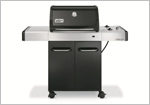 Active - Weber - Spirit E-210