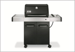 Active - Weber - Spirit E-310